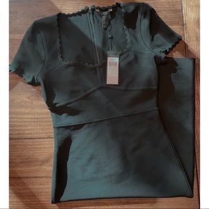 BCBG Bodycon Scalloped Edge Dress NWT!